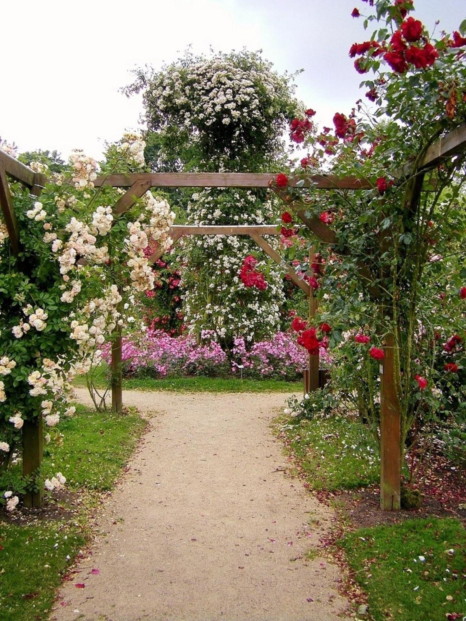 La Cloue Bed & Breakfast Sainte-Marie-du-Bois  Exterior photo