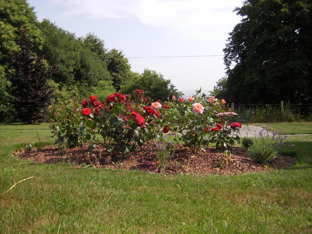 La Cloue Bed & Breakfast Sainte-Marie-du-Bois  Exterior photo